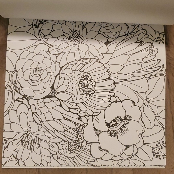 Adult Colouring Books - Picture 7 of 14